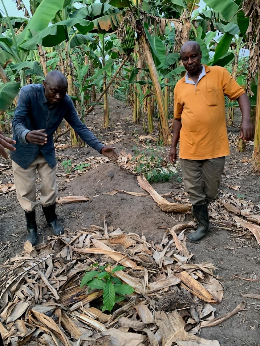 Increase Food Security